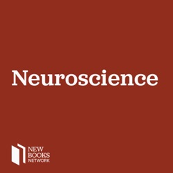 Look Again: The Power of Noticing What Was Always There