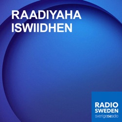 Maanta iyo wararka radio Sweden