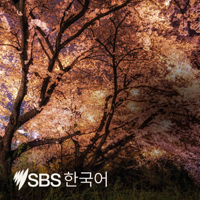 SBS Korean - SBS 한국어 프로그램 podcast