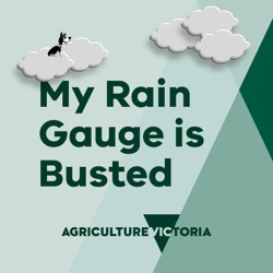 Ten years of soil moisture data has greatly assisted decision making