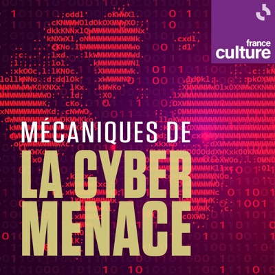 Mécaniques de la cybermenace:France Culture