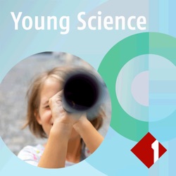 Young Science