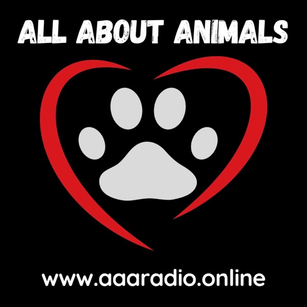 All About Animals
