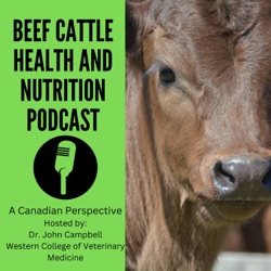 Lead Toxicity in Cattle with Dr. Vanessa Cowan