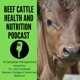 Subfertility in Bulls with Dr. Colin Palmer - Part 2