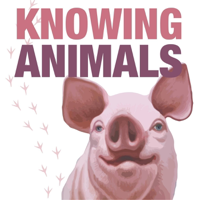 Episode 213: Rachel Robison-Greene on In Vitro Meat