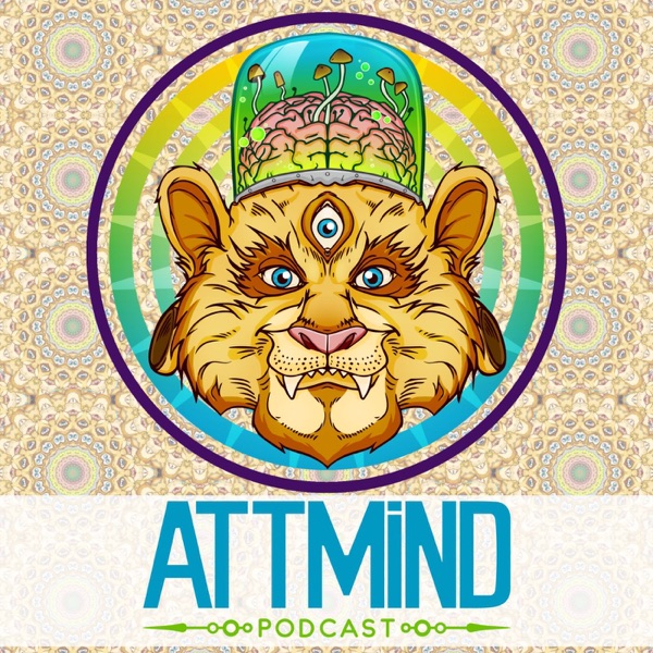 Adventures Through The Mind