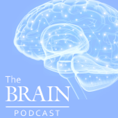 The Brain Podcast - Joanne Bell
