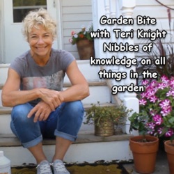 Garden Bite with Teri Knight