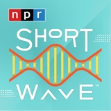 The Turnaway Study: What The Research Says About Abortion podcast episode