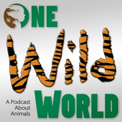 What is One Wild World? feat. Mike Davis