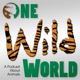 One Wild World: A Podcast About Animals