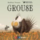 Grouse