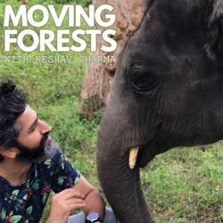 Podcast Trailer- Moving Forests with Keshav Sharma