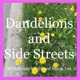 Dandelions and Side Streets