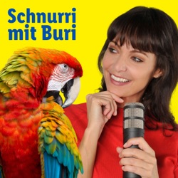 Reto Scherrer – Radio- & TV-Moderator