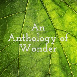 An Anthology of Wonder