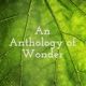 An Anthology of Wonder