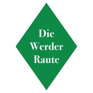 WR 064 Da wird der Fan VARrückt