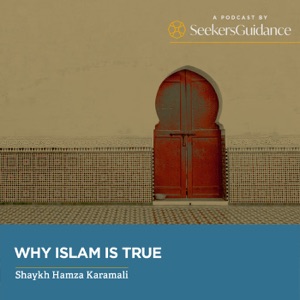 12: Who Designed the Designer? – Why Islam is True with Shaykh Hamza Karamali