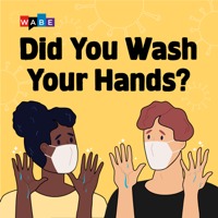Did You Wash Your Hands? podcast