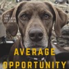 Average Opportunity artwork