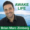 Awake Life with Brian Marc Zimberg artwork