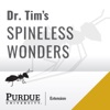 Dr. Tim's Spineless Wonders artwork
