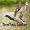 ThreeBirds BoldCast artwork