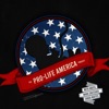 Pro-Life America artwork