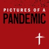 Pictures of a Pandemic artwork