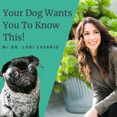 Your Dog Wants You To Know This! Your Dog Wants You To Know This!