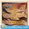 Songs of Innocence and Experience by William Blake artwork
