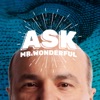 Ask Mr. Wonderful artwork