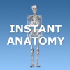 Instant Anatomy artwork