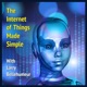 The Internet of Things Made Simple