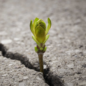 Colossians: Power to Endure with Joy podcast