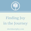 Finding Joy in the Journey artwork