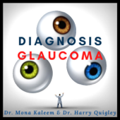 Diagnosis Glaucoma - Dr. Kaleem and Dr. Quigley