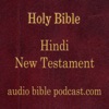 ABP - Hindi Bible - New Testament - January Start artwork