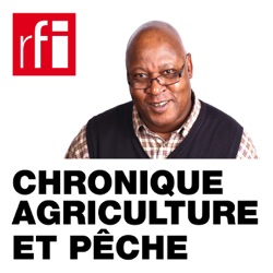 Gabon: la Coopérative des éleveurs de l’estuaire (rediffusion)