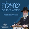 Shaylah of the Week - Yeshurun - Rabbi Zev Cohen artwork