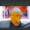 Newtons Nuggets artwork