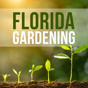 FL Gardening 2-2-2020- with David Graham, Megan and Kathleen Govan and Mike Janusz