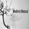 Modern Bonsai artwork