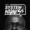 There's A System to this Madness artwork