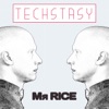Techstasy, Love of Techno. artwork