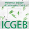 Molecular Biology of Leishmania 2018 artwork