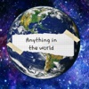 Anything in The World artwork