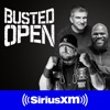 Busted Open artwork